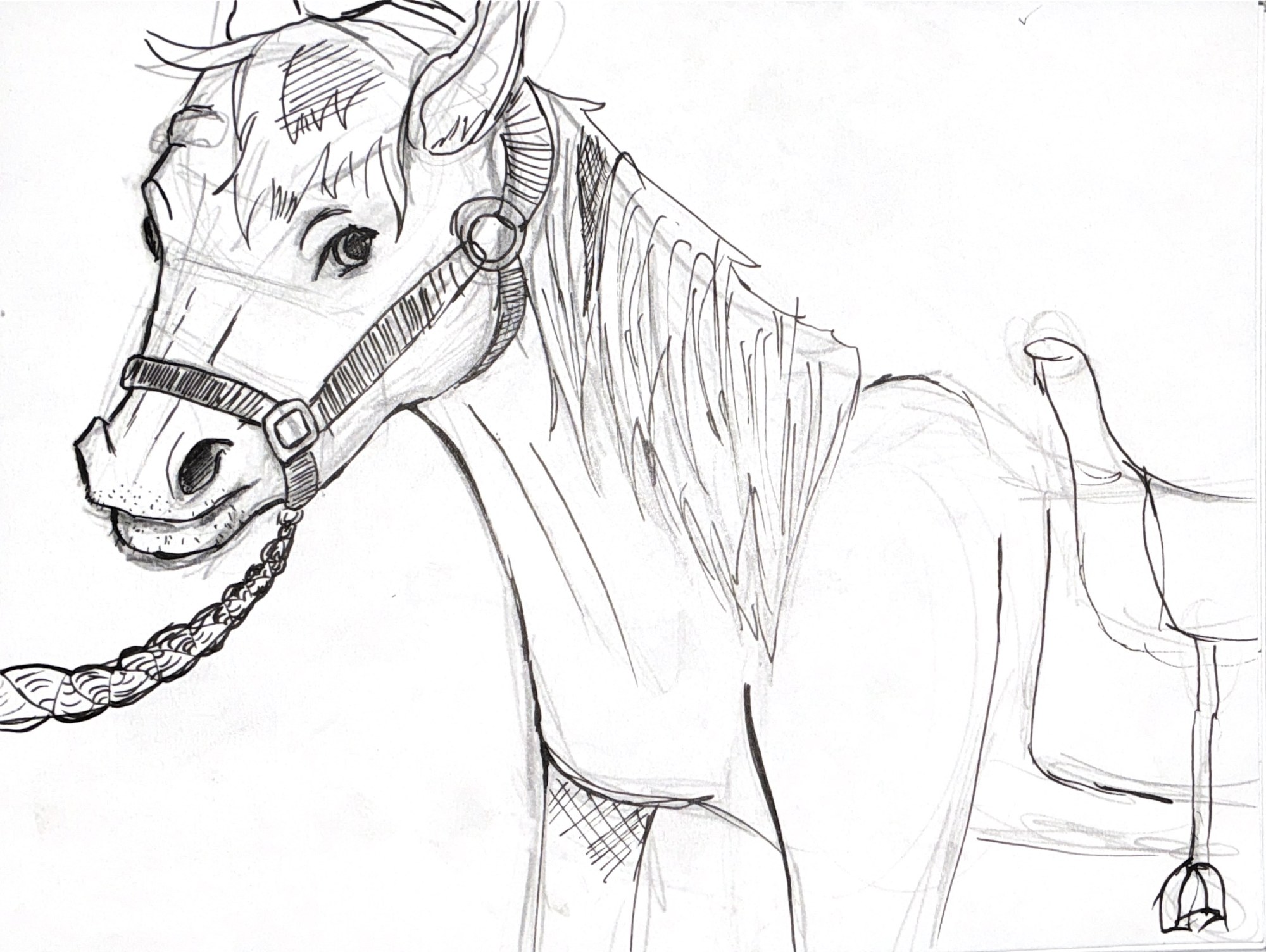 Figure Study IV